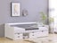 Daybed with Drawers Carousel 13