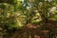 gallery view thumbnail