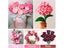 6 Colors Gradient Pink Pipe Cleaners Set For DIY Craft Carousel 6