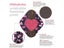 5pcs Set Bamboo Reusable Washable Menstrual Pads Bonus Bag Carousel 6