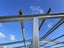 Steel Span Shed Carousel 6