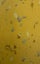Loading Image 1 of 2