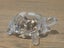 Vintage Feng Shui Good Luck Crystal Glass Turtle / Tortoise Carousel 6