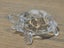 Vintage Feng Shui Good Luck Crystal Glass Turtle / Tortoise Carousel 3