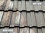 Professional painter, interior & exterior, roof Carousel 13