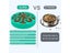 Slow Feeder Bowl For Dogs Anti-Gulping Non Slip Eco Friendly Carousel 5