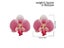 Exaggerated Big Pink Butterfly Orchid Drop Earrings For Women Carousel 5
