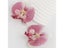 Exaggerated Big Pink Butterfly Orchid Drop Earrings For Women Carousel 6