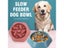 Slow Feeder Dog Bowl Anti-slip For Small Medium Dogs Carousel 4