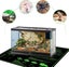 Seedling Heat Mat 50cm*50cm with timer NZ STOCK Carousel 4