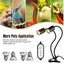 Reptile Heat Lamp NZ Clearance Carousel 6