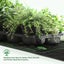 Seedling Heat Mat 122cm*51cm with timer NZ STOCK Carousel 8