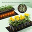 Seedling Heat Mat 122cm*51cm with timer NZ STOCK Carousel 13