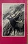 WAPITI in New Zealand by D. Bruce Banwell 1966 1st edition Carousel 2