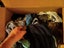 Loading Image 2 of 2