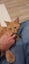 Ninja Ginger Boy desexed 6 months old Carousel 1
