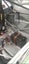 gallery view thumbnail