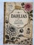 DAHLIA SEEDS x 50 Carousel 2