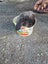 Loading Image 1 of 3