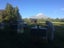 Kintail Honey Te puke Ltd Carousel 1