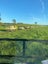 Kintail Honey Te puke Ltd Carousel 2