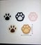 THE CATTAGE - 10PC Paw Fridge Magnets Add Cuteness & Fun To Kitchen/Office Carousel 4