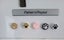 THE CATTAGE - 10PC Paw Fridge Magnets Add Cuteness & Fun To Kitchen/Office Carousel 1