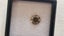 $1 RES * Valuation $7,363.00 * 0.82ct ROUND Cut FANCY Diamond Loose IGL CERT Carousel 1