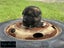 Purebred German Shepherd puppies - 5 B, 2 G Carousel 2