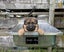 Purebred German Shepherd puppies - 5 B, 2 G Carousel 4