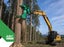 Asset-Backed Tree Contracting Business Carousel 1