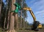Asset-Backed Tree Contracting Business Carousel 2