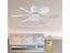 Socket Fan Light Carousel 2