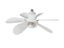 Socket Fan Light Carousel 5