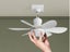 Socket Fan Light Carousel 8