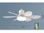 Socket Fan Light Carousel 9