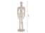 Jointed Doll Model For Drawing Movable Limbs 11.4/14/20cm Carousel 1