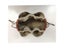 Picotin 18 22 26 Purse Organizer Insert Base Shaper Carousel 3
