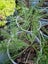 Loading Image 1 of 4