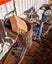 Loading Image 6 of 6