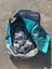 Loading Image 2 of 5