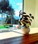 gallery view thumbnail