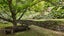 gallery view thumbnail