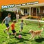 Kids Soccer Goal Set Backyard Football Goal Training Set Carousel 8