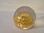 Retro Resin Yellow Helichrysum Flower Paperweight Carousel 1