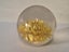 Retro Resin Yellow Helichrysum Flower Paperweight Carousel 11