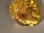Retro Resin Yellow Helichrysum Flower Paperweight Carousel 13