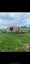 Off-Grid 6m Jaia Yurt – Fully Insulated, Solar & Fireplace Included Carousel 3