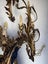 European Gilt Metal Floral 6 Lights Wall Sconce Carousel 19