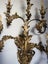 European Gilt Metal Floral 6 Lights Wall Sconce Carousel 13